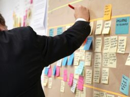 Business Consulting